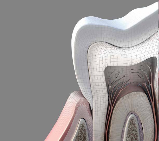 Pulp Testing and Apex Locators: Eliminating the Guesswork From Endodontic Diagnostics eBook Thumbnail