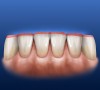 Figure 10  Diagram illustrating the natural appearance of the mandibular anterior incisal edges from the observer’s perspective.
