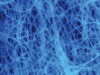 Fig 2. Micrograph of tissue sample. Illumination is by ultraviolet light causing autofluorescence of the fibers. The image was captured through a blue filter to block direct illumination and includes nine images manually stitched into a panorama. Individual fibers are ~10 μm wide. (Permission is granted to copy, distribute, and/or modify this document under the terms of the GNU Free Documentation License, Version 1.2 [https://commons.wikimedia.org/wiki/Commons:GNU_Free_Documentation_License,_version_1.2] or any later version published by the Free Software Foundation; with no Invariant Sections, no Front-Cover Texts, and no Back-Cover Texts. https://commons.wikimedia.org/wiki/File:PaperAutofluorescence.jpg)