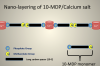 Fig. 1 Schematic explaining the formation of MDP-Ca salt and interfacial nanolayering.